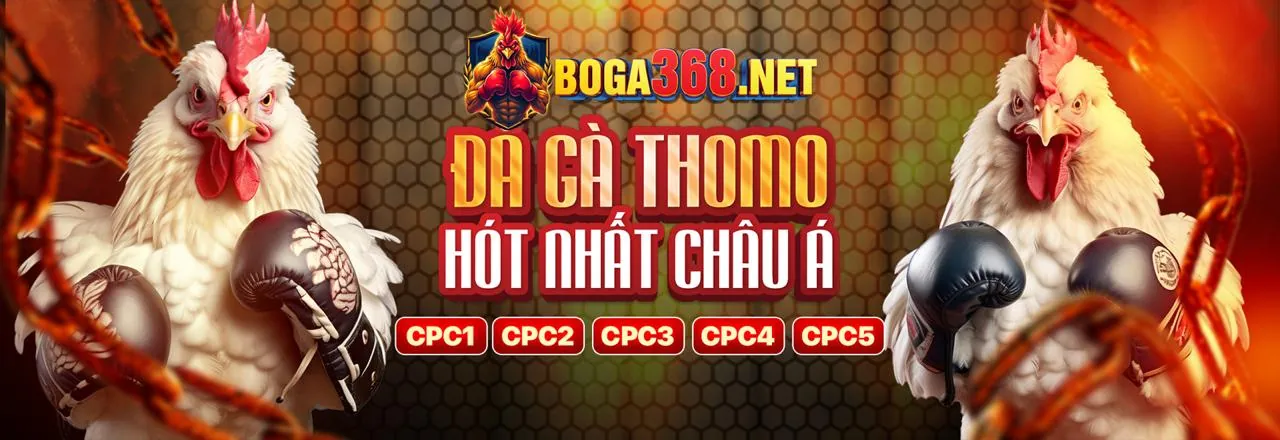 Minh họa các loại cookie khác nhau được sử dụng bởi vnd88 game