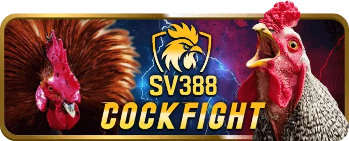Đặt cược trên di động với vnd88 game